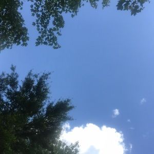 Meet your Posher, Willow